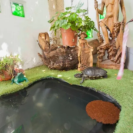 Balines Villa Arona (Tenerife)
